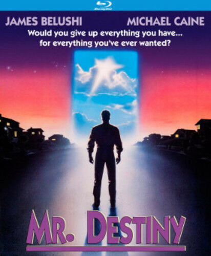 Mr. Destiny